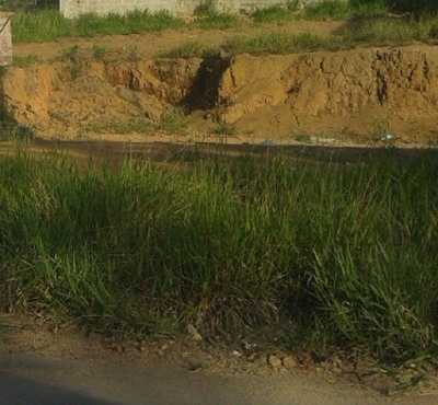 Farm For Sale in Bandeira Do Sul, Brazil