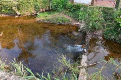 Residential Land For Sale in 