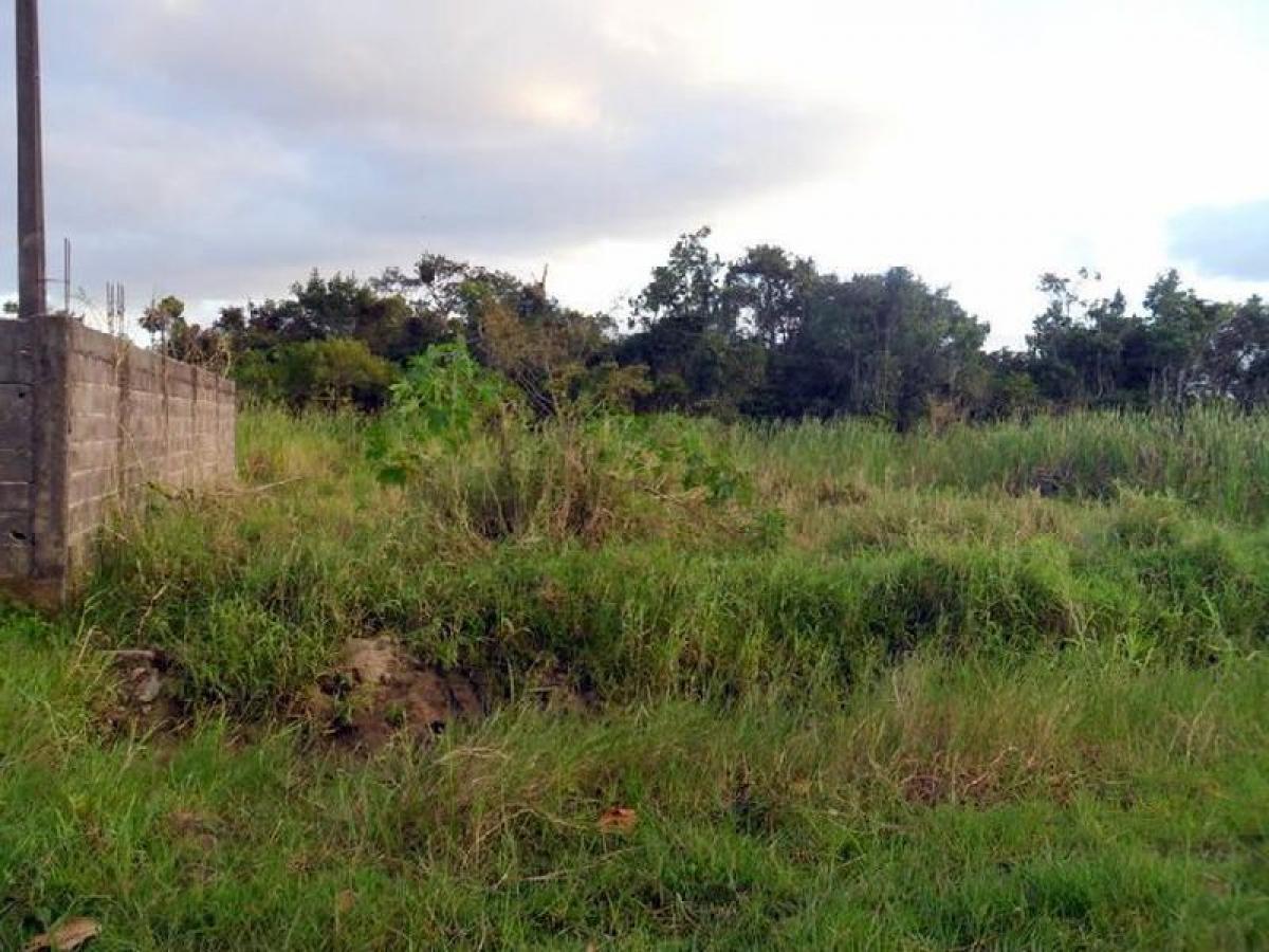 Picture of Residential Land For Sale in Peruibe, Sao Paulo, Brazil