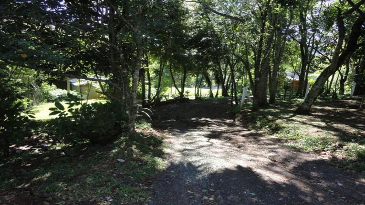 Picture of Home For Sale in Santa Catarina, Santa Catarina, Brazil