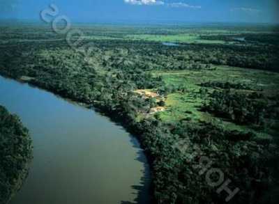 Farm For Sale in Pocone, Brazil