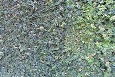 Residential Land For Sale in Ibiuna, Brazil