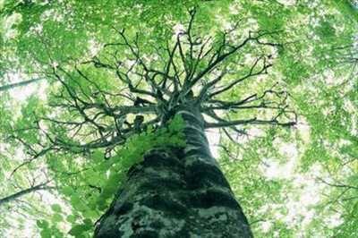 Residential Land For Sale in Itapevi, Brazil