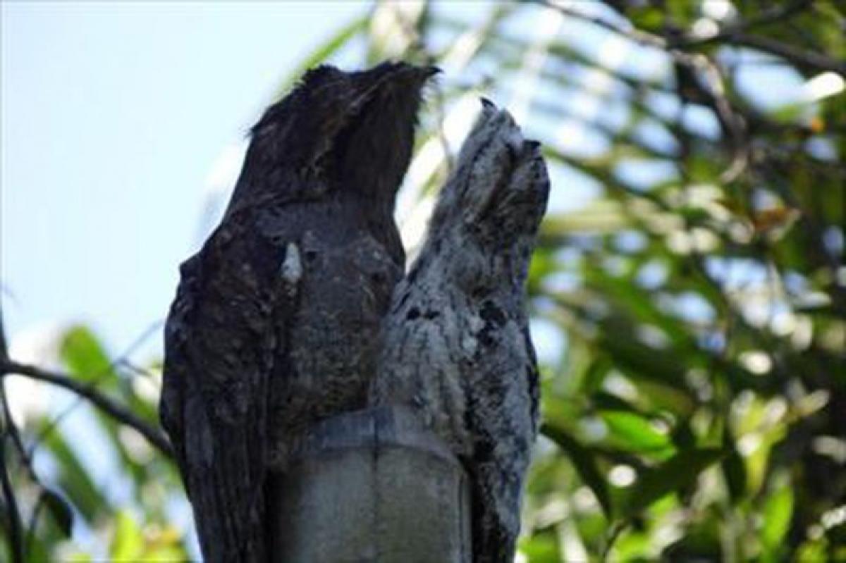 Picture of Residential Land For Sale in Ferraz De Vasconcelos, Sao Paulo, Brazil