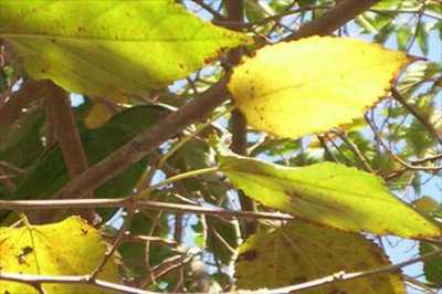 Residential Land For Sale in Itapevi, Brazil