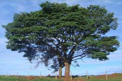 Residential Land For Sale in Ibiuna, Brazil