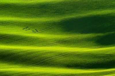 Residential Land For Sale in Aruja, Brazil