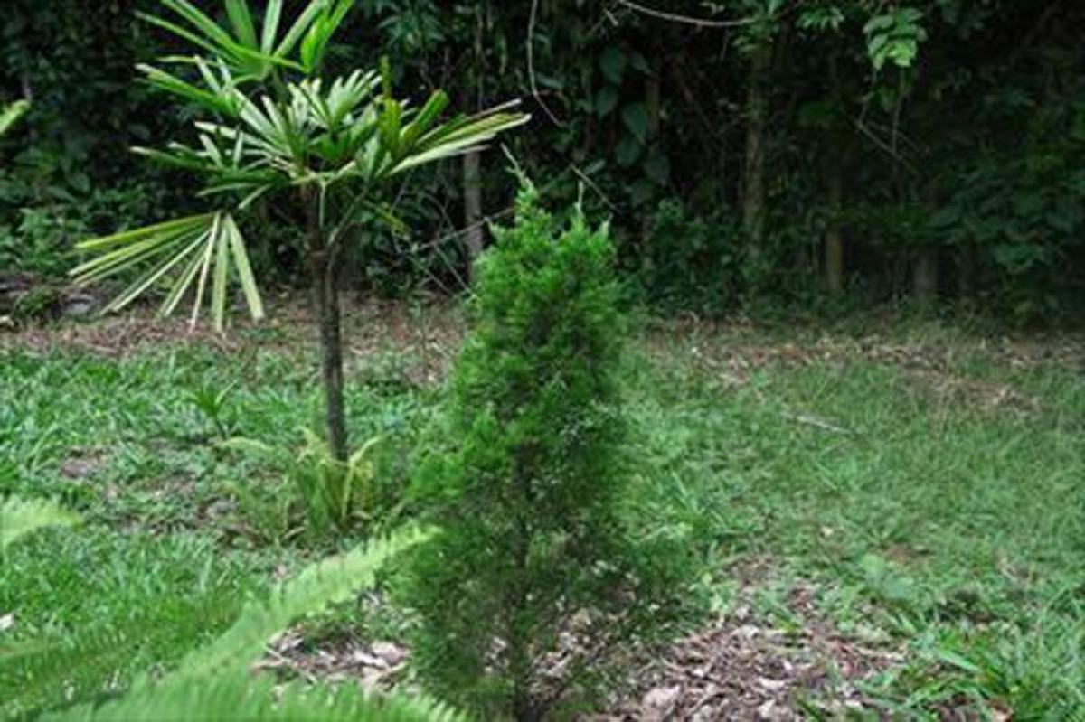 Picture of Residential Land For Sale in Aruja, Sao Paulo, Brazil