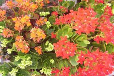 Hotel For Sale in Campinas, Brazil