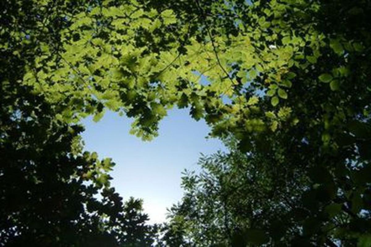 Picture of Residential Land For Sale in Aruja, Sao Paulo, Brazil