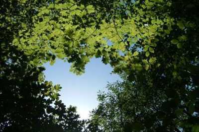 Residential Land For Sale in Aruja, Brazil