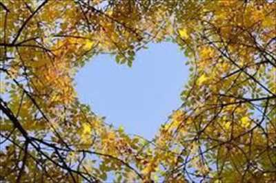 Residential Land For Sale in Itapevi, Brazil