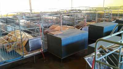 Home For Sale in Santa Catarina, Brazil