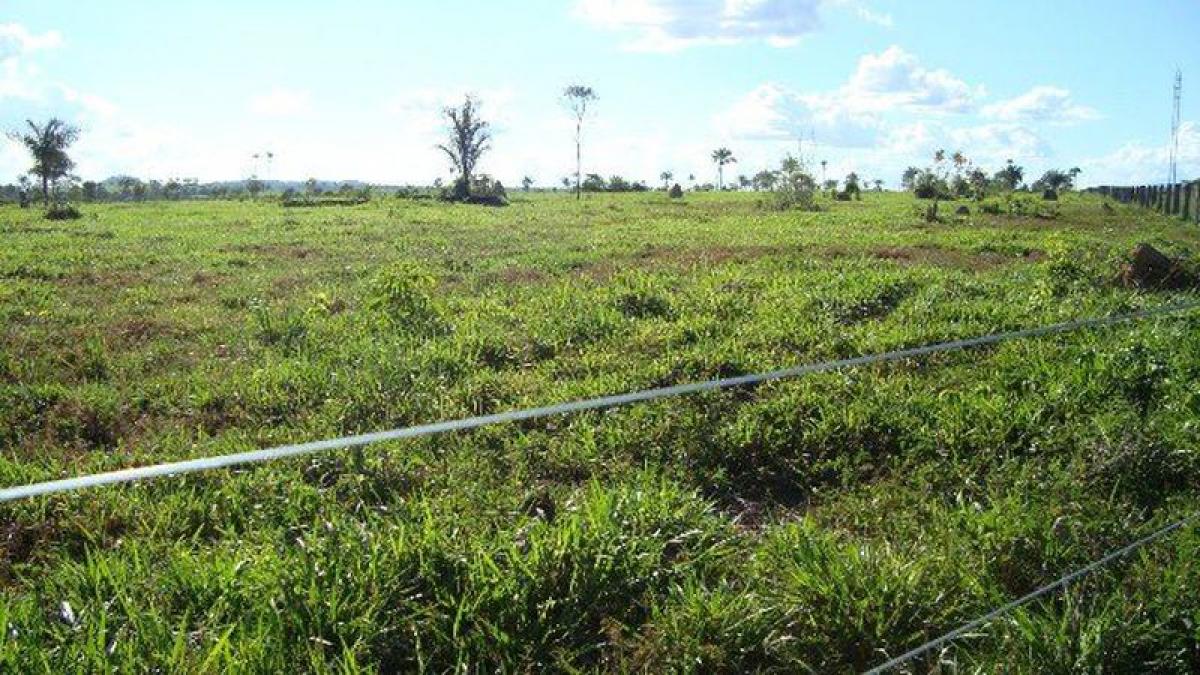 Picture of Farm For Sale in Para, Para, Brazil