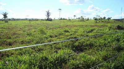 Farm For Sale in Para, Brazil