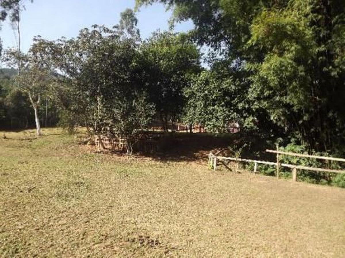 Picture of Farm For Sale in Tabai, Rio Grande do Sul, Brazil