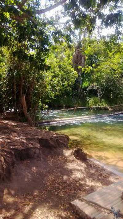 Farm For Sale in Maranhao, Brazil