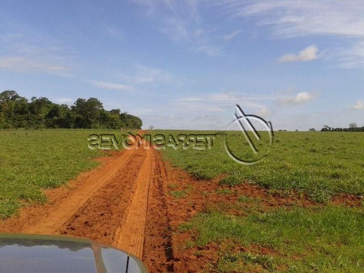 Picture of Farm For Sale in Mato Grosso Do Sul, Mato Grosso do Sul, Brazil