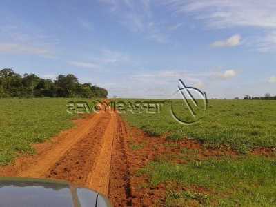 Farm For Sale in Mato Grosso Do Sul, Brazil