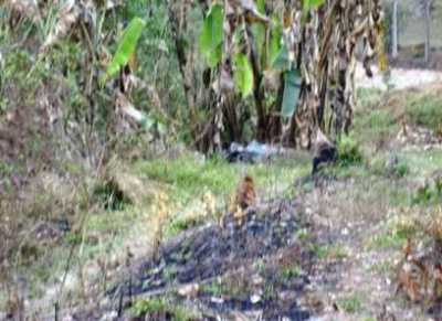 Residential Land For Sale in Caete, Brazil