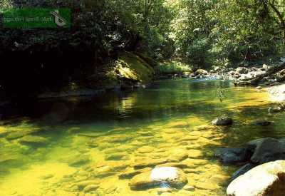 Farm For Sale in Nova Friburgo, Brazil