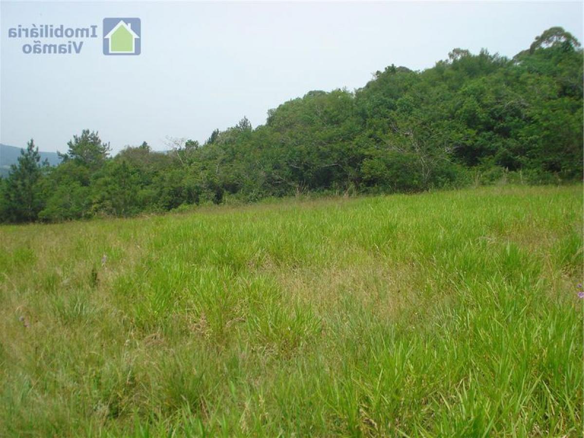 Picture of Residential Land For Sale in Rio Grande Do Sul, Rio Grande do Sul, Brazil