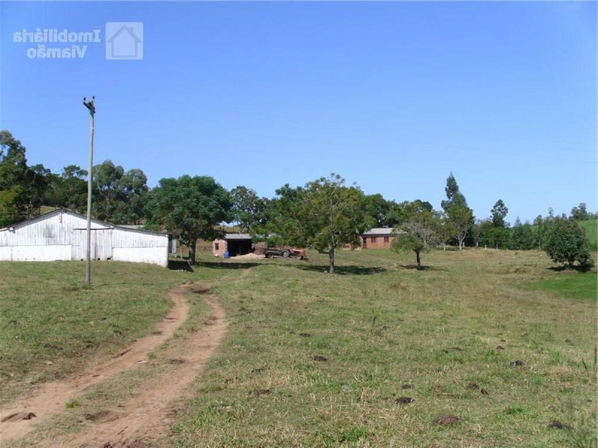 Picture of Farm For Sale in Rio Grande Do Sul, Rio Grande do Sul, Brazil