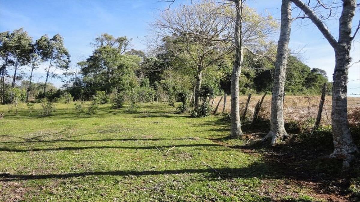 Picture of Home For Sale in Santa Catarina, Santa Catarina, Brazil