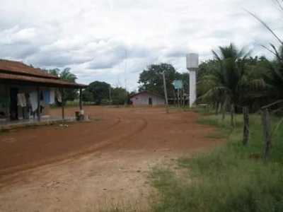 Farm For Sale in Tocantins, Brazil