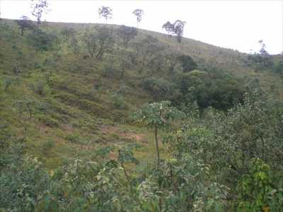 Other Commercial For Sale in Itapecerica Da Serra, Brazil