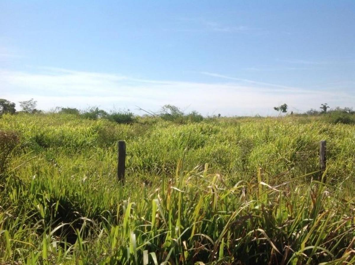 Picture of Farm For Sale in Mato Grosso, Mato Grosso, Brazil