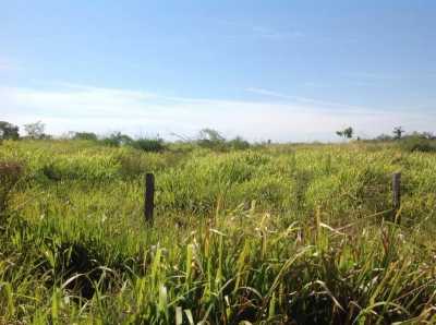 Farm For Sale in Mato Grosso, Brazil