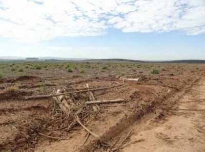Farm For Sale in Mato Grosso, Brazil