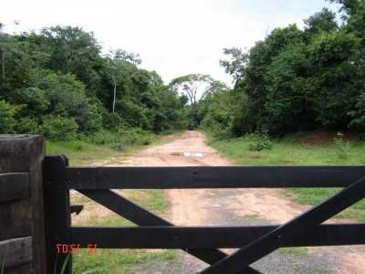 Farm For Sale in Mato Grosso, Brazil