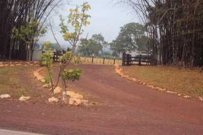 Farm For Sale in Mato Grosso, Brazil