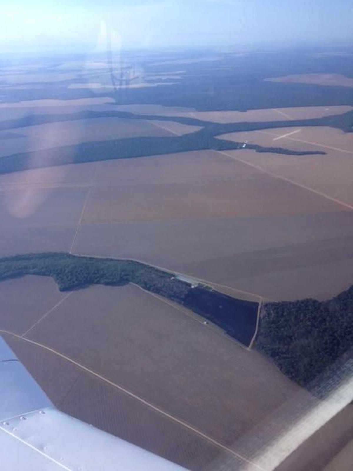 Picture of Farm For Sale in Mato Grosso, Mato Grosso, Brazil