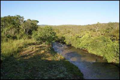 Farm For Sale in Mato Grosso, Brazil