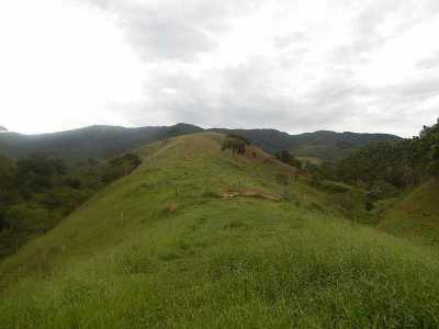 Farm For Sale in Sao Paulo, Brazil