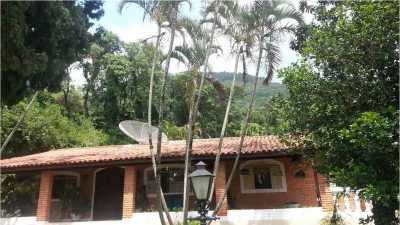 Farm For Sale in Sao Paulo, Brazil