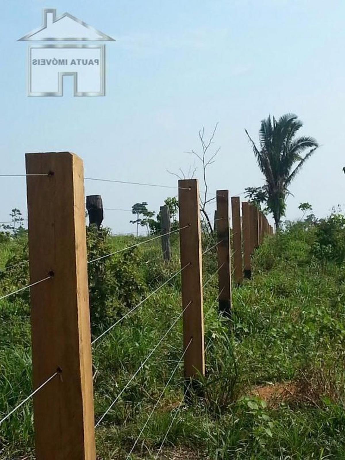 Picture of Farm For Sale in Rondônia, Rondonia, Brazil