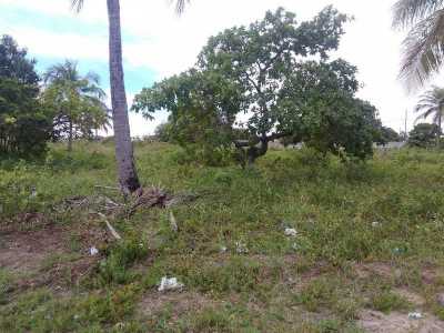 Residential Land For Sale in Paraiba, Brazil