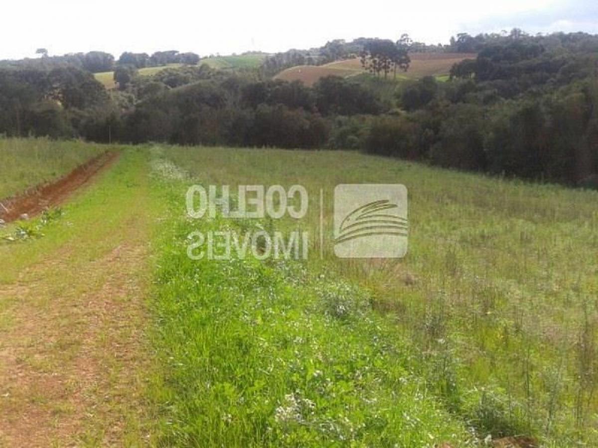 Picture of Residential Land For Sale in Sao Jose Dos Pinhais, Parana, Brazil