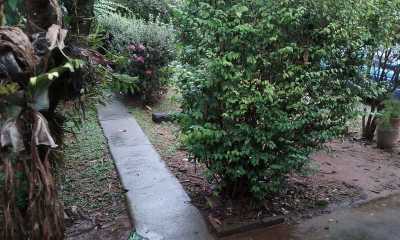 Farm For Sale in Campinas, Brazil