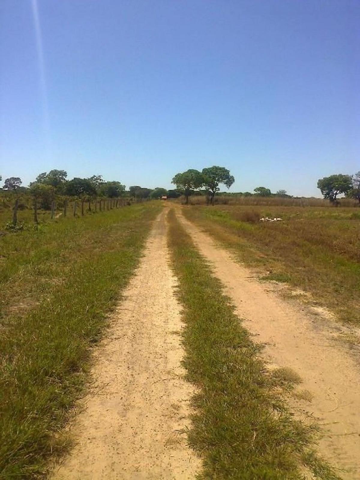 Picture of Farm For Sale in Tocantins, Tocantins, Brazil