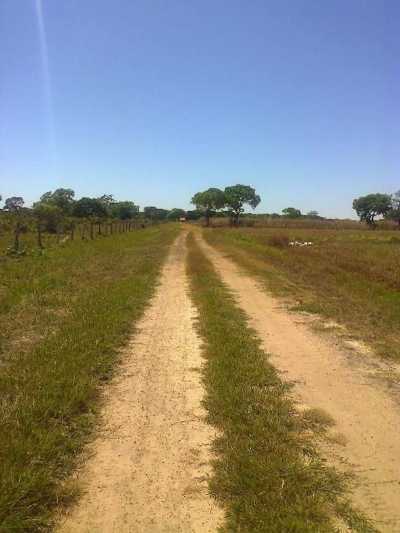Farm For Sale in Tocantins, Brazil