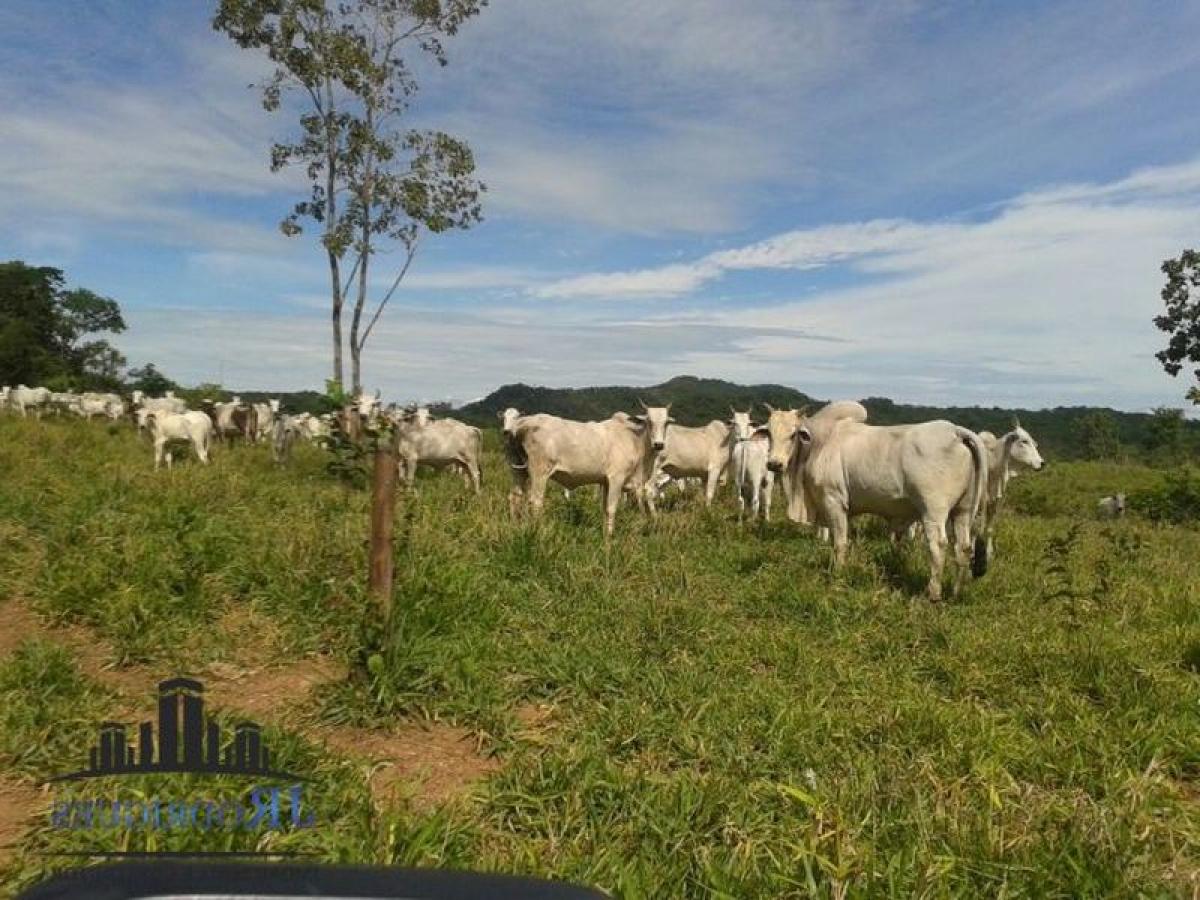 Picture of Farm For Sale in Goias, Goias, Brazil