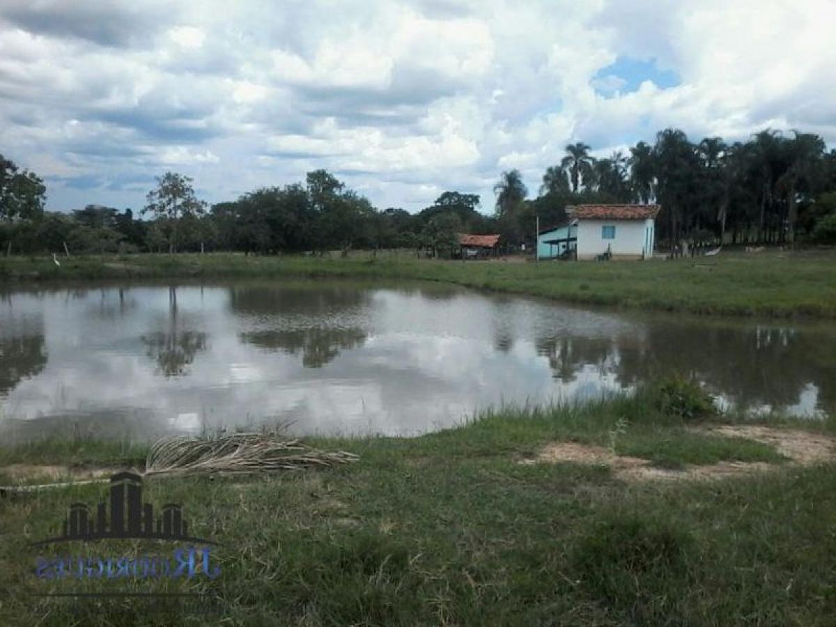 Picture of Farm For Sale in Goias, Goias, Brazil