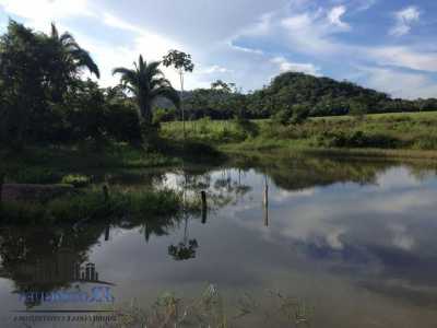 Farm For Sale in Goias, Brazil