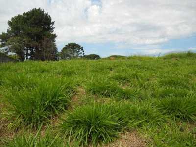 Residential Land For Sale in Carapicuiba, Brazil