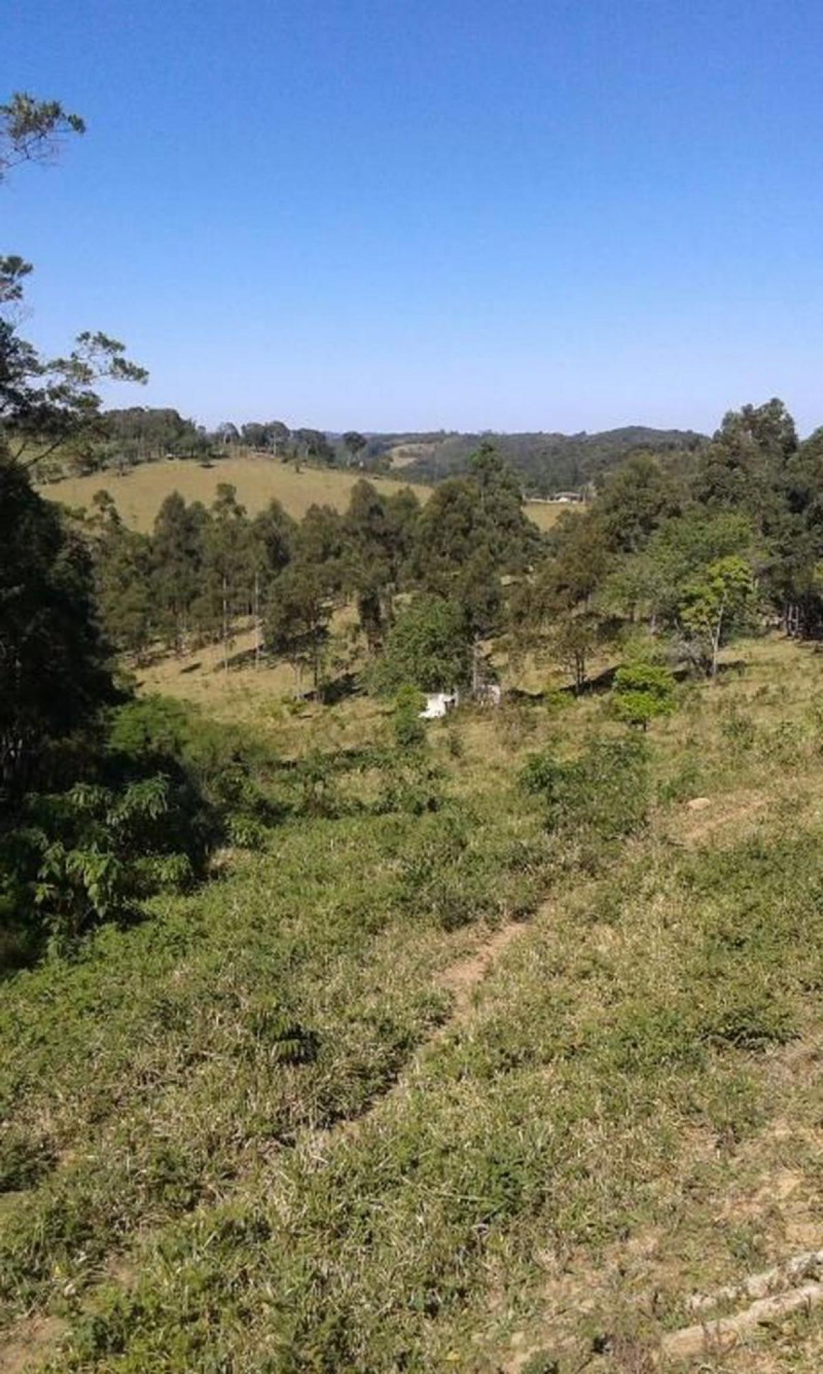 Picture of Farm For Sale in Ibiuna, Sao Paulo, Brazil